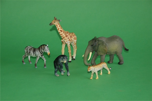 BOXED ANIMALS OF AFRICA COLLECTION