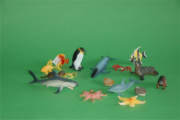 BOXED AQUATIC ANIMAL COLLECTION