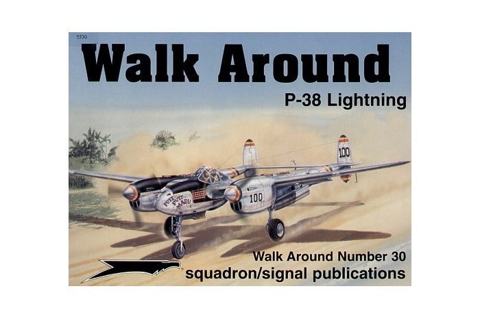 P-38 LIGHTNING WALK AROUND