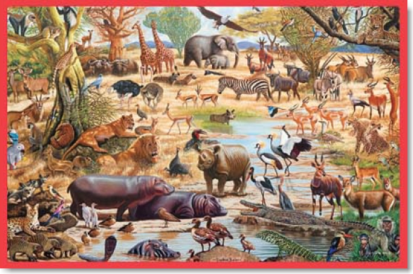 AFRICAN PARADISE FRAME TRAY 60 PIECE PUZZLE