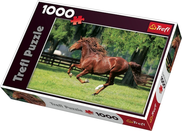 1000 PIECE IN THE GALLOP