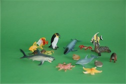 BOXED AQUATIC ANIMAL COLLECTION