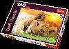 LAND OF THE DINOSAURS #5 FRAME TRAY 60 PIECE PUZZLE