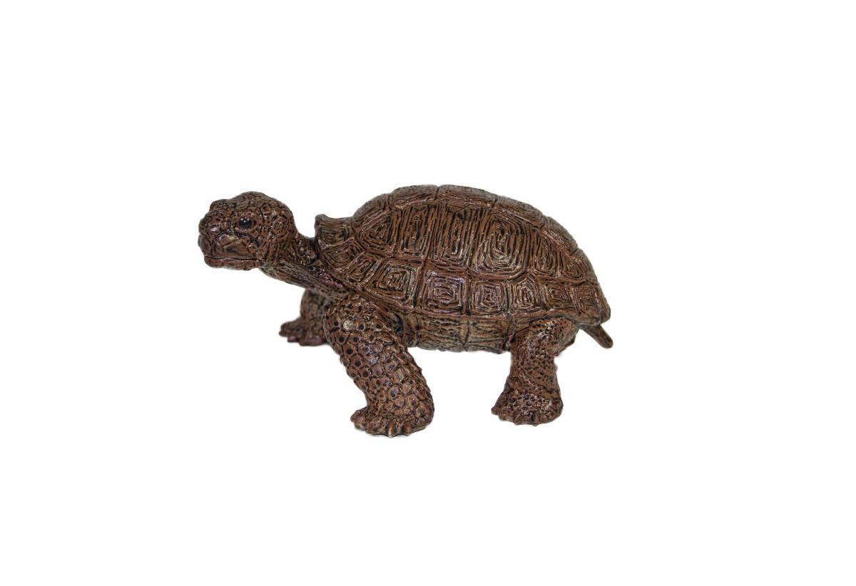 5.5" LARGE TORTOISE - Large Tortoise