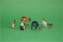 BOXED WILD ANIMAL COLLECTION SERIES 3