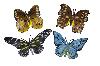 4" ASSORTED BUTTERFLY - Assorted Butterflies