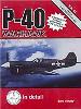 P-40 WARHAWK PT 2