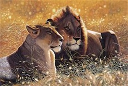 LIONS IN THE SUN 1,000 PIECE PUZZLE (DISCONTINUED/COLLECTIBLE)