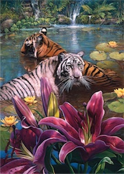 500 PIECE PAINTED TIGER
